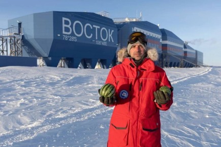 ������������ ����������: ������ �� ���������� �������� ������ ����������