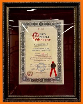 Команда устанавливает рекорд по приготовлению щавелевого супа на фестивале русской кухни