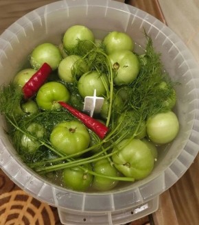 Зеленые помидоры: как простой рецепт может стать звездой вашего стола