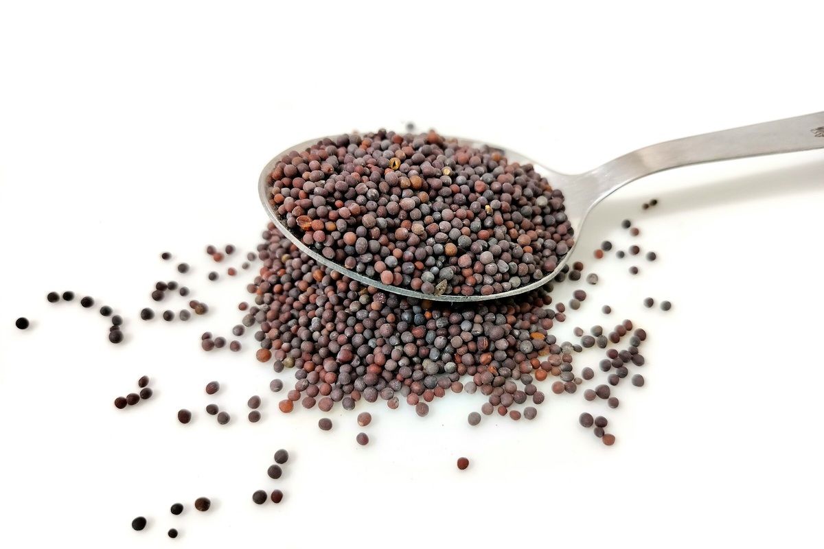 ������� ����� ��������� � �������� ��������