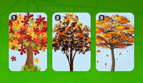 ������� ���� ������� �����������: ���� �� �������������������