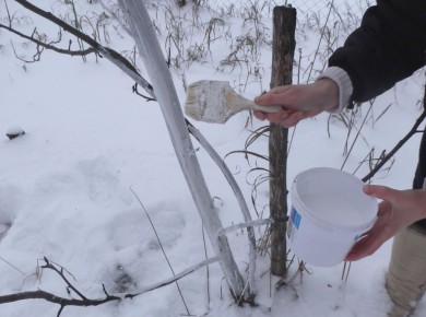 ��� ����������� ������ � ����� � ����: ������ � ������