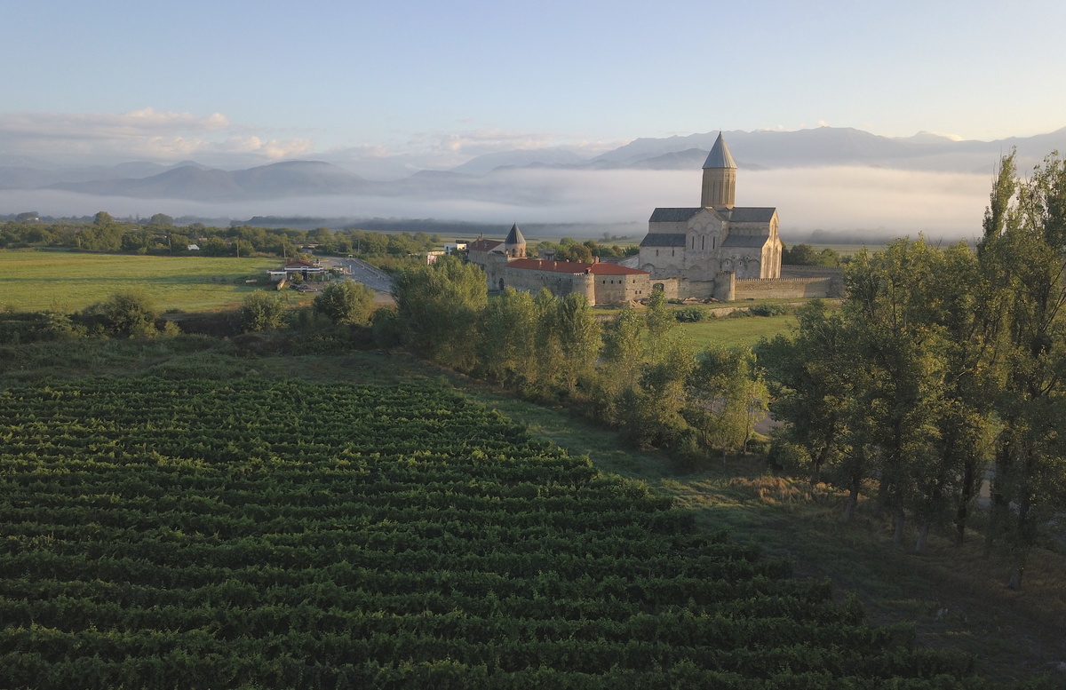 Кахетия: место, где вино становится частью жизни
