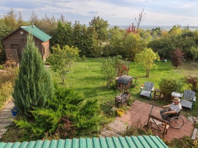 Жареные зеленые помидоры в кафе "Полустанок"