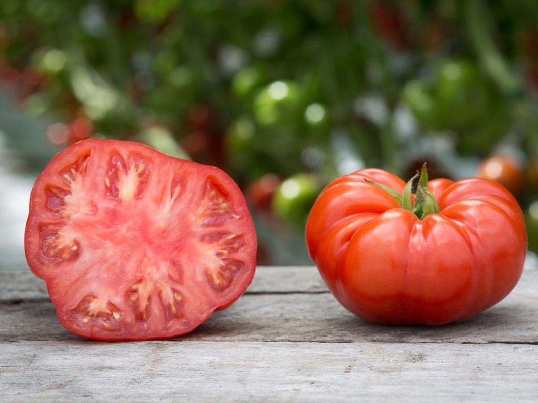 ������� ����� ������� ���������: ��� ���� ������� ������ ������