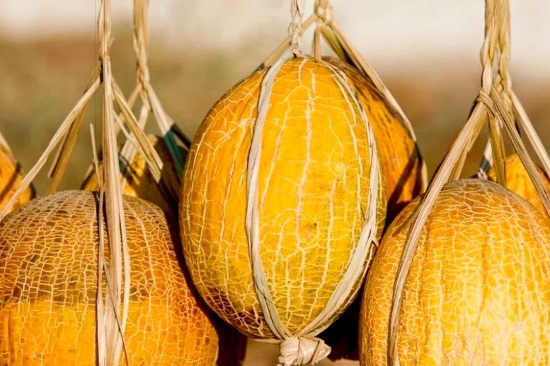 ����: ������� ������, �������� � ������������� ������� ����