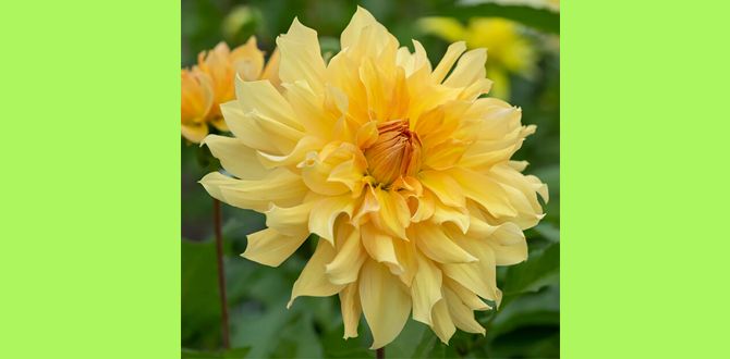 �������� ��� ���� ��������� ��� ���������: ����� ����������� ����� ��� ������ ����