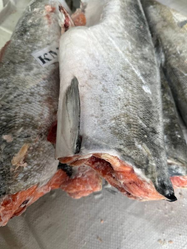 ������������ ���� ���������������� ������: ���� � �����������