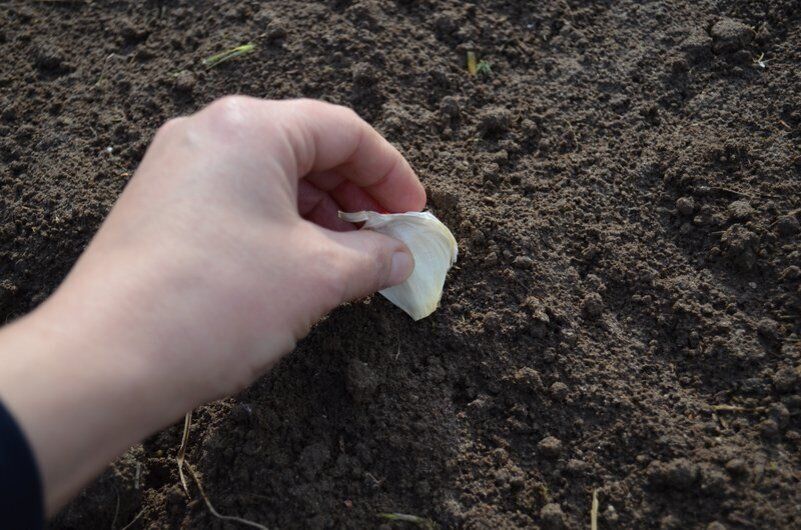 ����� � ��� ������ ������ ������: �������� ������