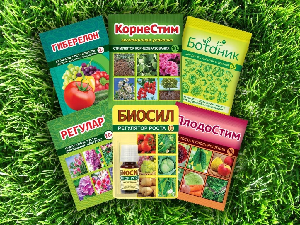 Секреты роста: как фитогормоны изменяют земледелие