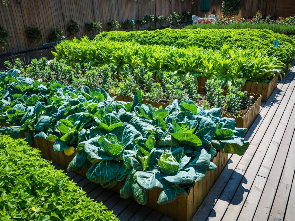 Как дождевые черви помогают revitalизировать ваш сад