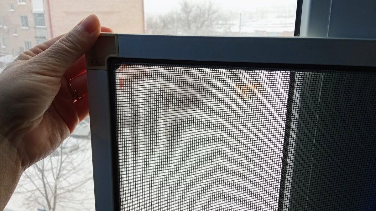 ����� �� ������� ��������� ����� �����? ��������� � ������