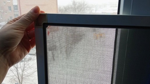 Зачем не убирать москитные сетки зимой? Опасности и советы