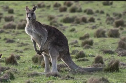 ��� ������� �������������� � ����� � ���������: ������������ ��������