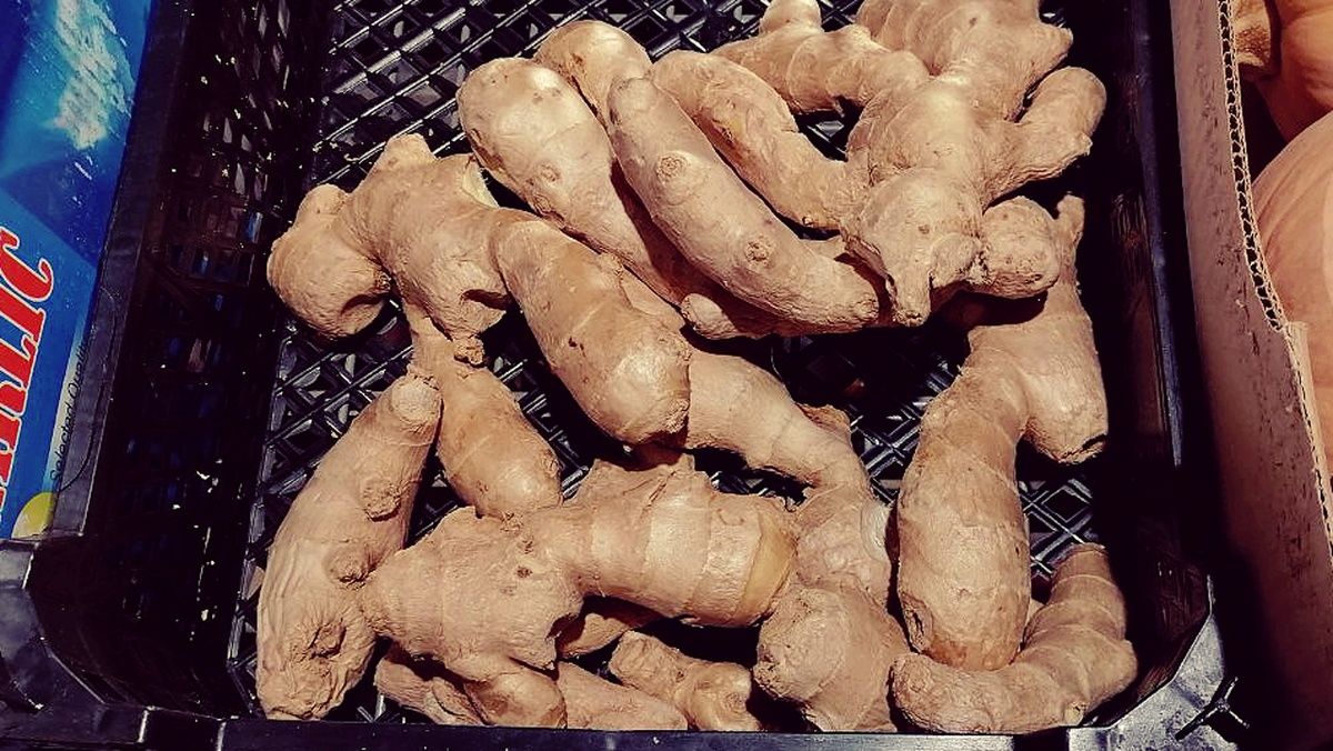 ����� ������ ������� ������: ��������� ����� � ���������� �������� ��������