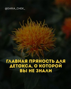 Главные пряности детокса: как они влияют на ваше здоровье