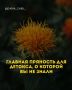Главные пряности детокса: как они влияют на ваше здоровье