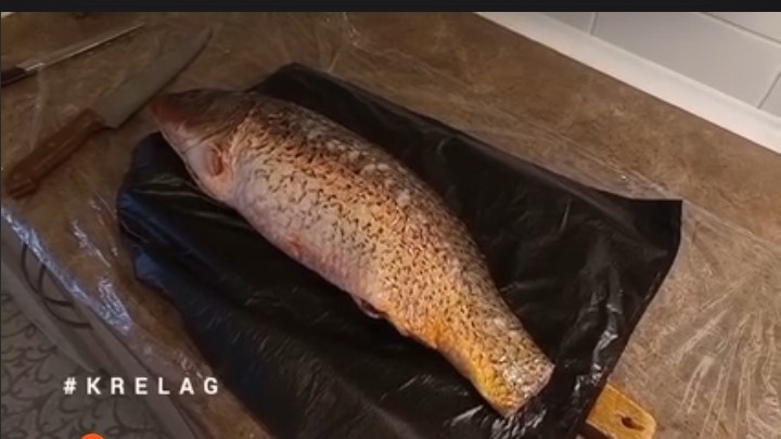 Искусство приготовления сазана в томатном соусе с пастернаком