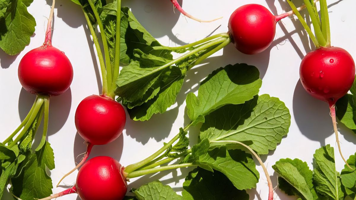 ��� ���������� ������� ����� �������� ���� �����