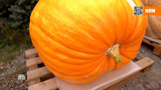 �����: ������� ��� �� ����� �����