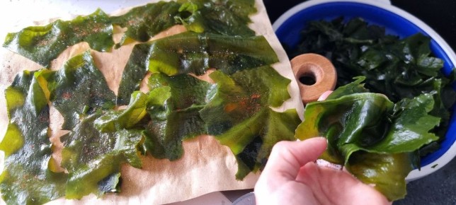 ���������� � �������� ������: ��������� ������ � �������� �������