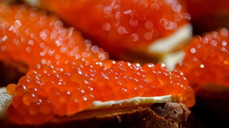 ����� �������� ������� ����: ��� ������� ��������