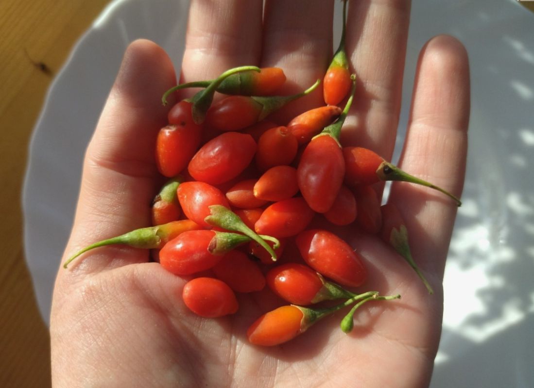 ������� ���� �� ������ ��������� �� ���������� ����, � ��� ��������� ������� ������