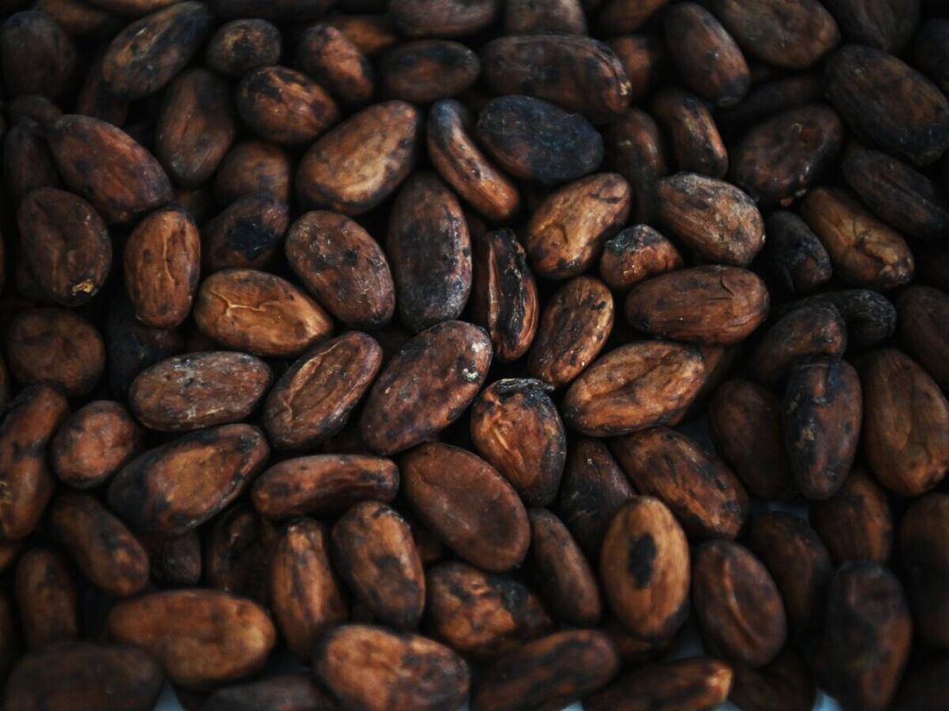 �����-���� ����������: ����� �� ��������