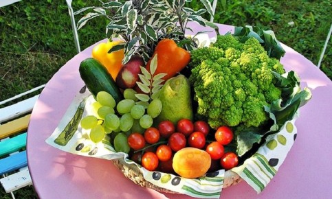 Компостирование: как кухонные отходы превращаются в удобрение для вашего огорода