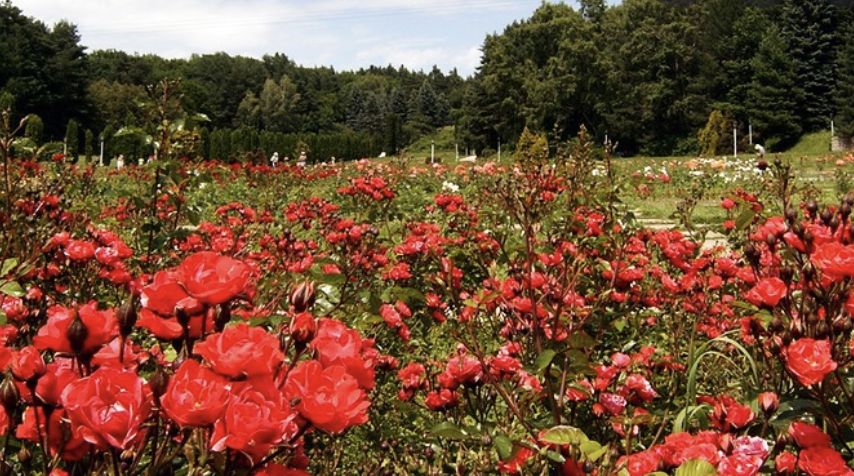 ������ ���: ������� ��������� �����������