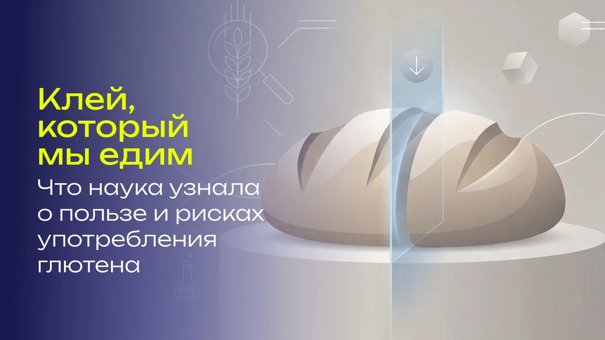 Глютен: новый взгляд на спорный продукт