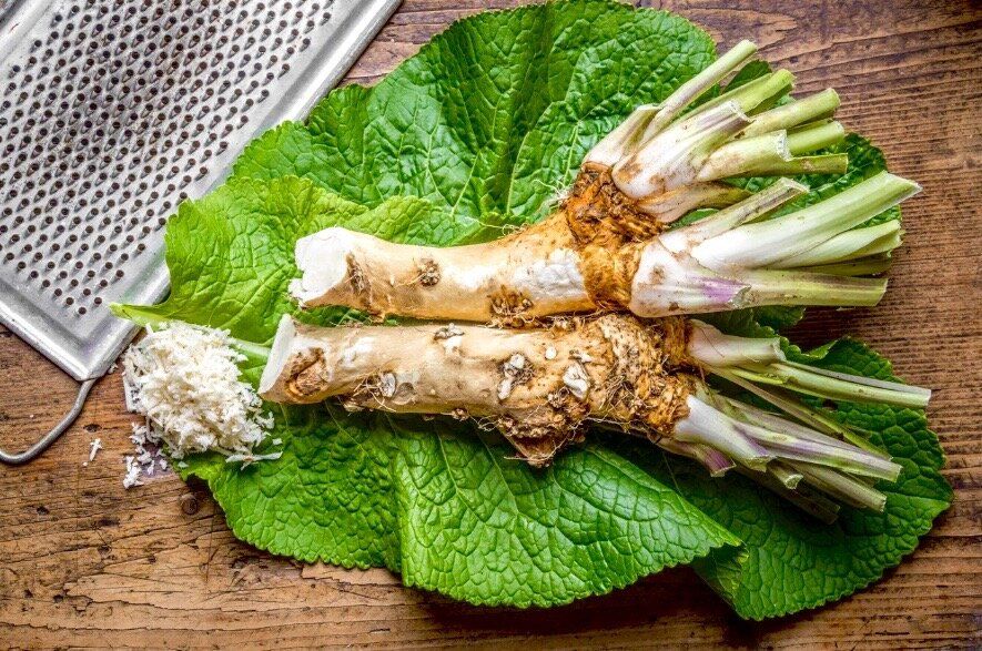 ������ �����: ������� �������� � ���������