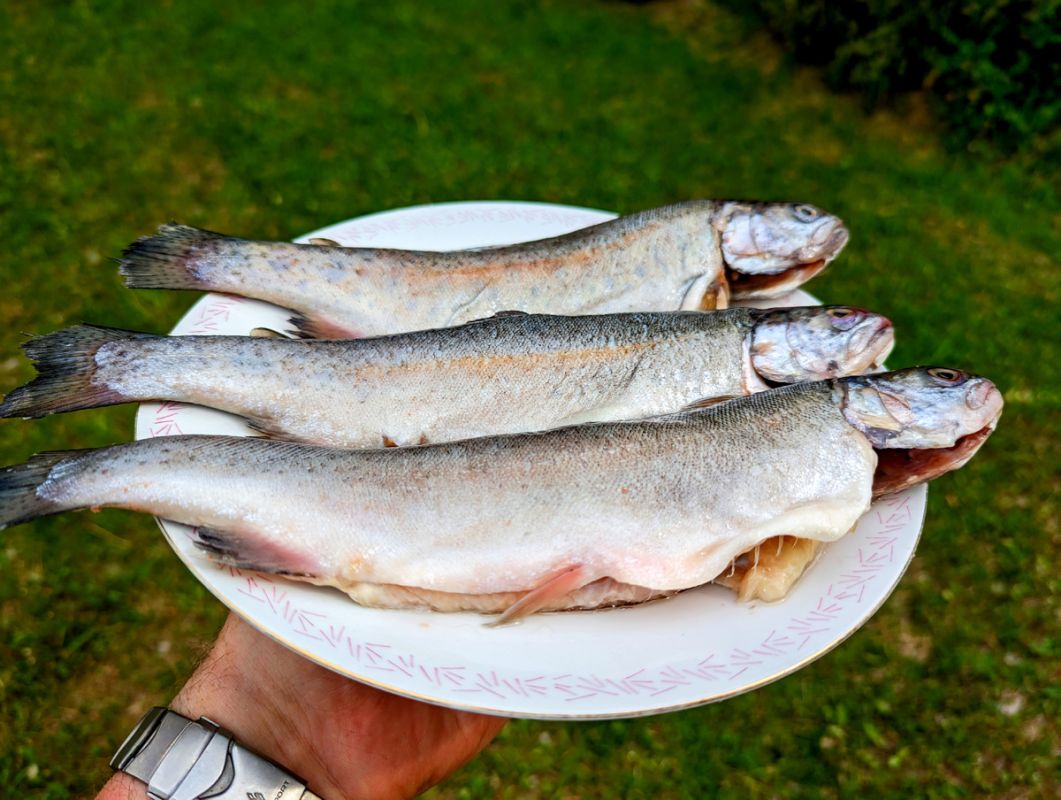 �������� ������: ��������� �������� ��� ���������