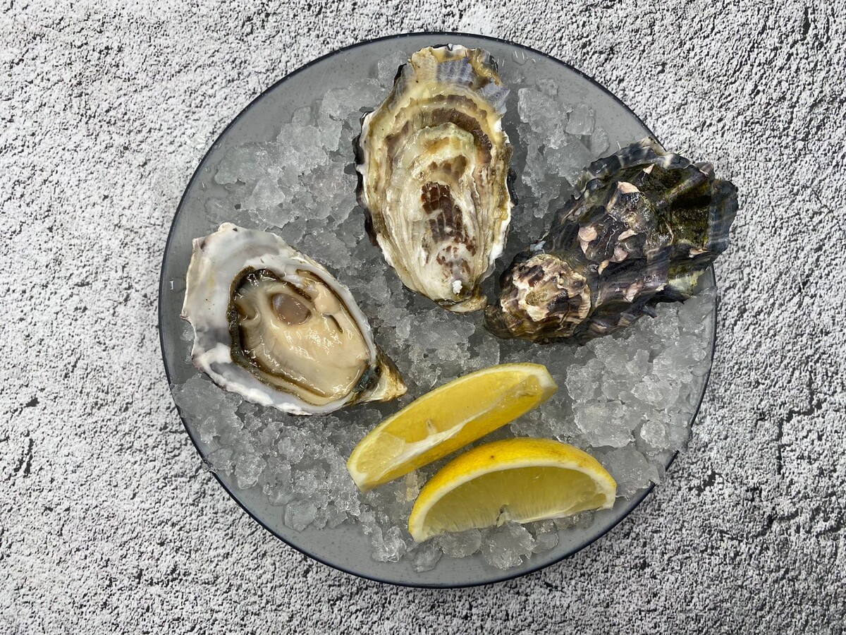 Розовая Джоли: таинственная устрица из Намибии, которую стоит попробовать