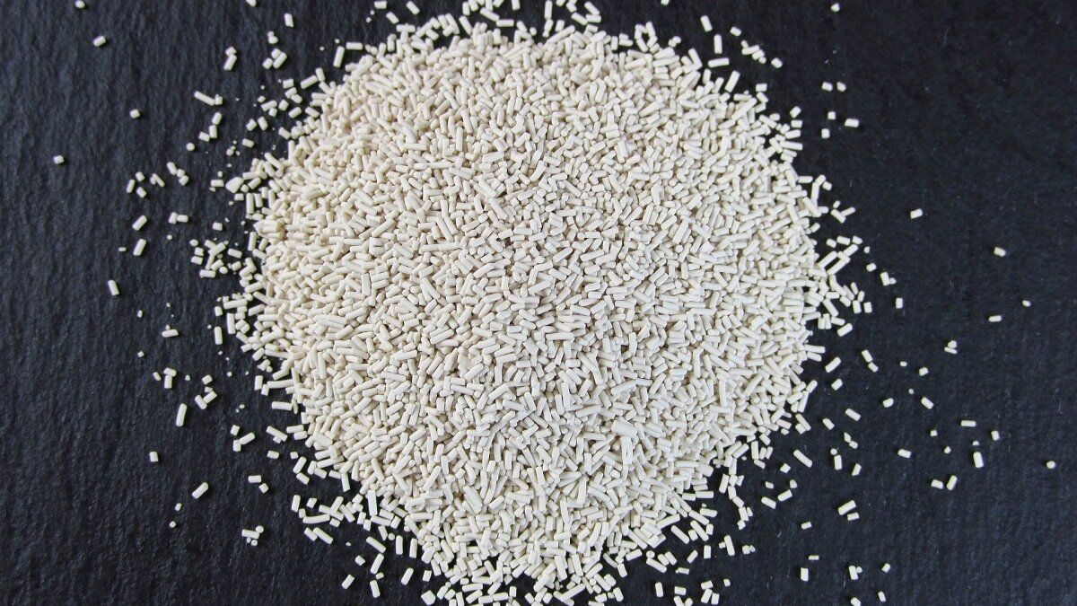 ����� ������ ����� ������: ��� ������� ��������� ������� ��� �������