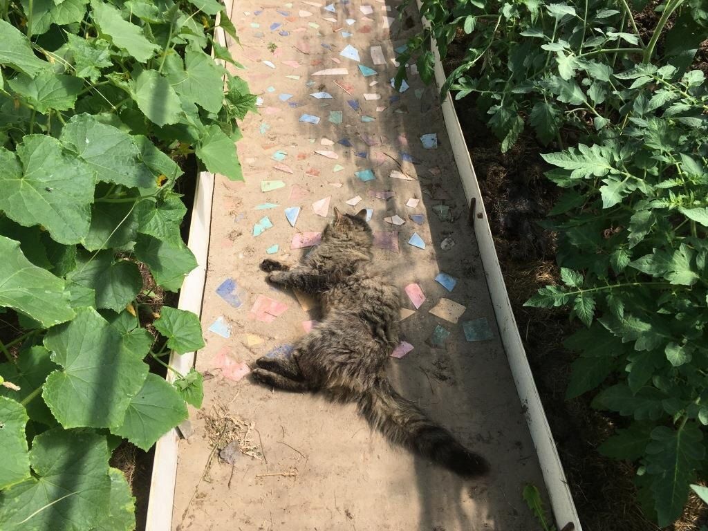 ������� ��������: ��� ����������� ���������� ������ � ������