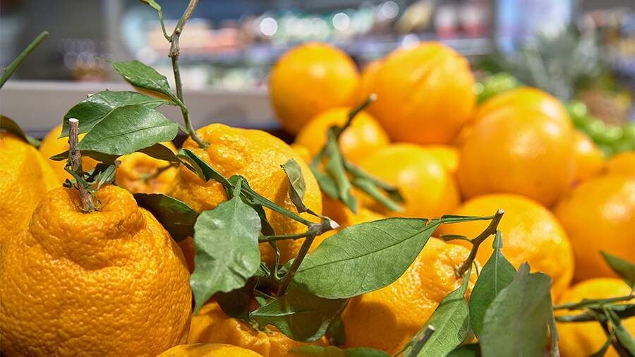 Сезонные фрукты, которые помогут укрепить иммунитет зимой