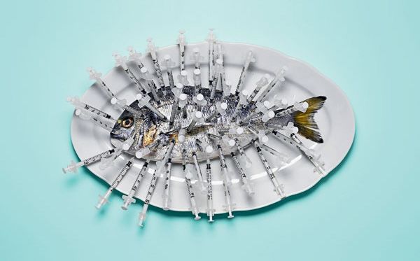 ������������ �������: ������������ ����� � �������� �����