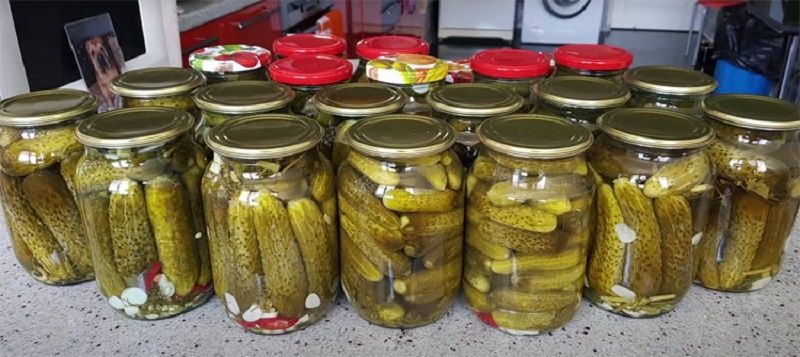 ��� �������� ������: ��� ������ � ������� � ������� ������ �� ����