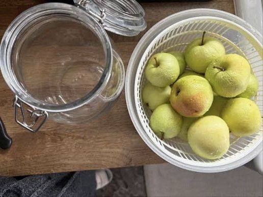 ������� ������: ������� ������������� �������� �������