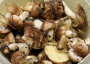 ������� ����������� ������: ��� ������� �������, ������� ������ ���