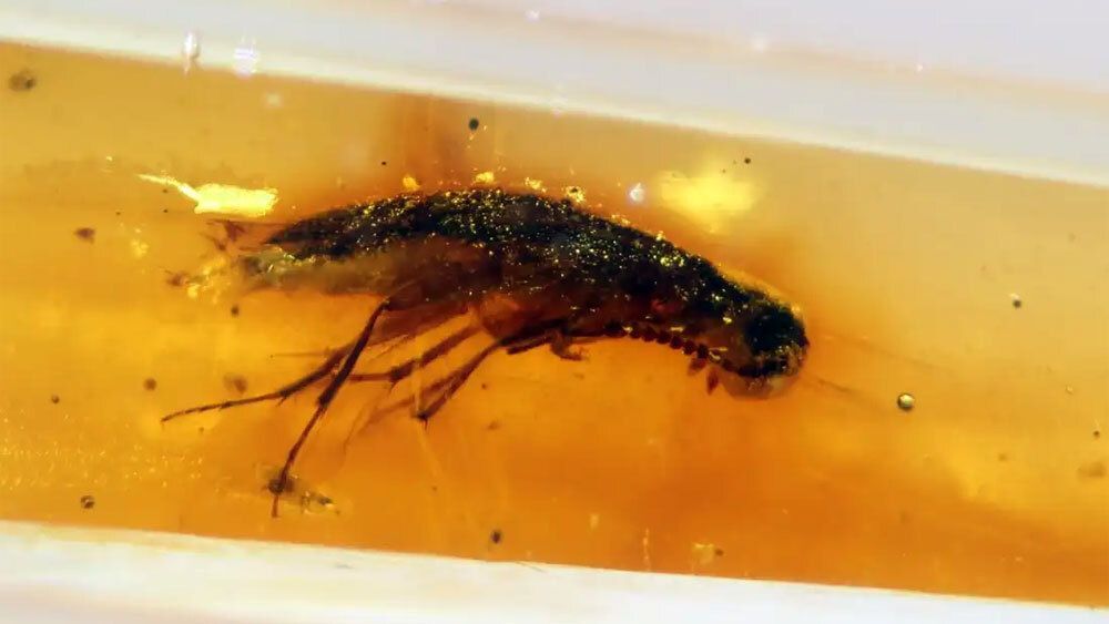 ���������� �������: � �������� ��������� ������ � �������� ����������