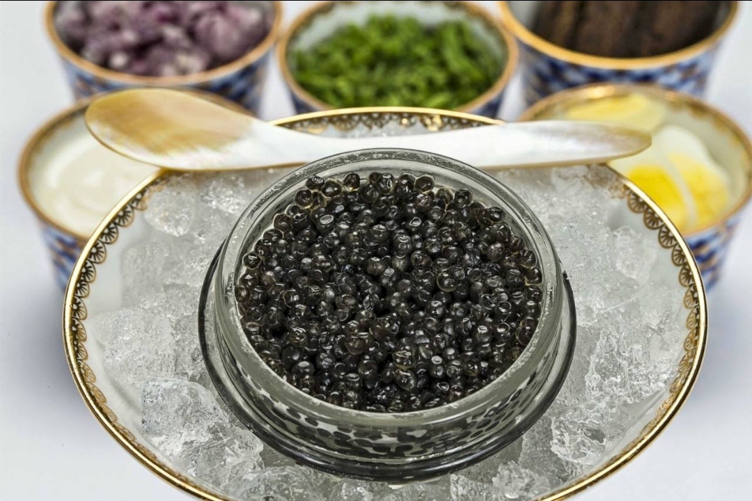 Загадка масленицы: как 50 тонн икры покорили Петербург в 1912 году