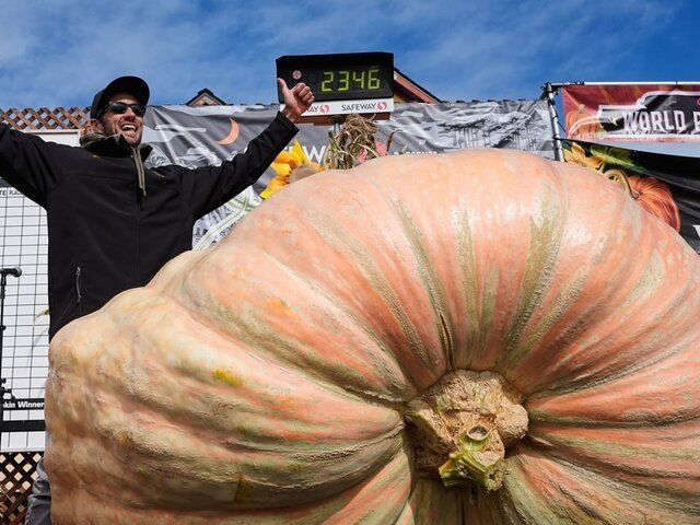 ������� �� ���������� ��������� �� ���������� � ������ ����� ����� �����