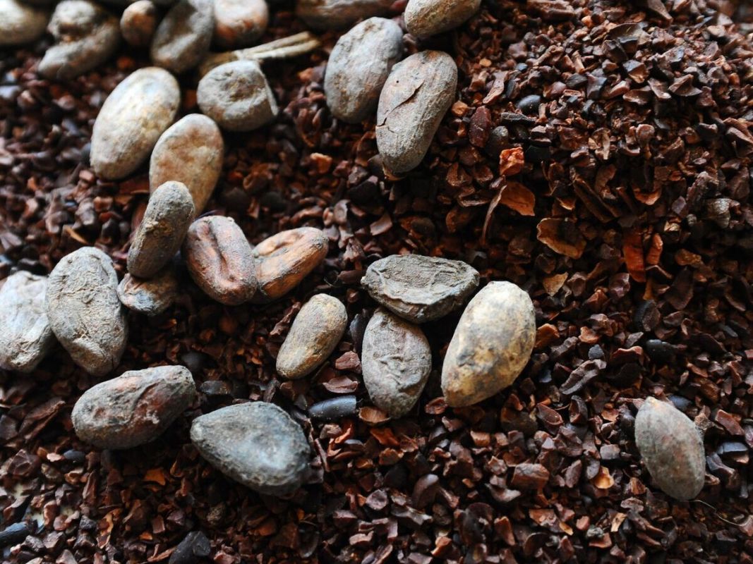 ���� �� �����-���� ���������� ���������� ���� 3700 �������� �� �����