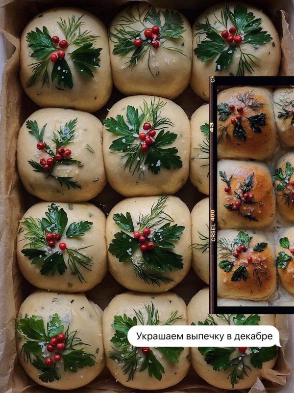 ��� Lily Morello ���������� ����� � ��������� ������������ ���������