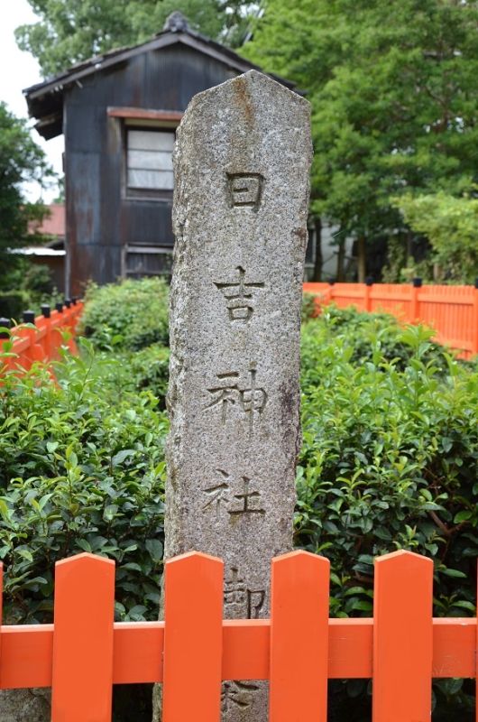 ������ ��� ����: ���������, ������� ��� �����