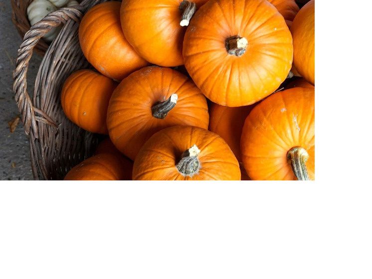 ��������� ����: ��� ��������� �������� �������� ��-������