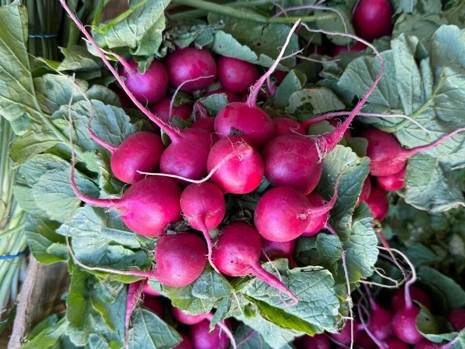 ������� � ������ ��������� ��� ����������� �������� ������