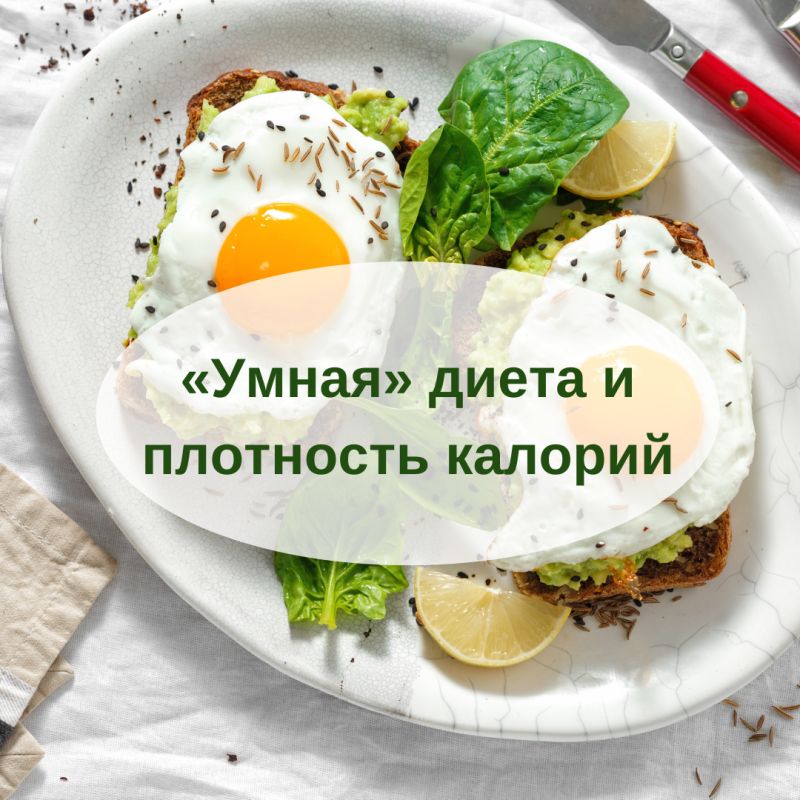 ��� �������� ������ �� �����: ������ ���������� ���������